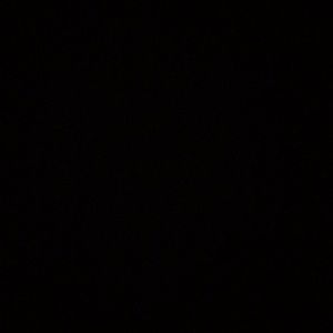 Meet your Posher, Gavin